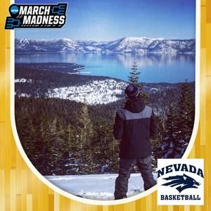 Meet your Posher, Ariel